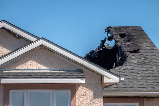 Licensed Content Restoration service in Plato, MN - Fire Damage Biloxi